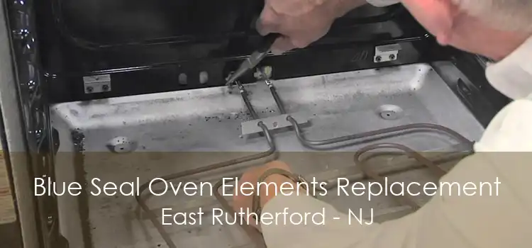 Blue Seal Oven Elements Replacement East Rutherford - NJ