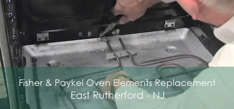 Fisher & Paykel Oven Elements Replacement East Rutherford - NJ